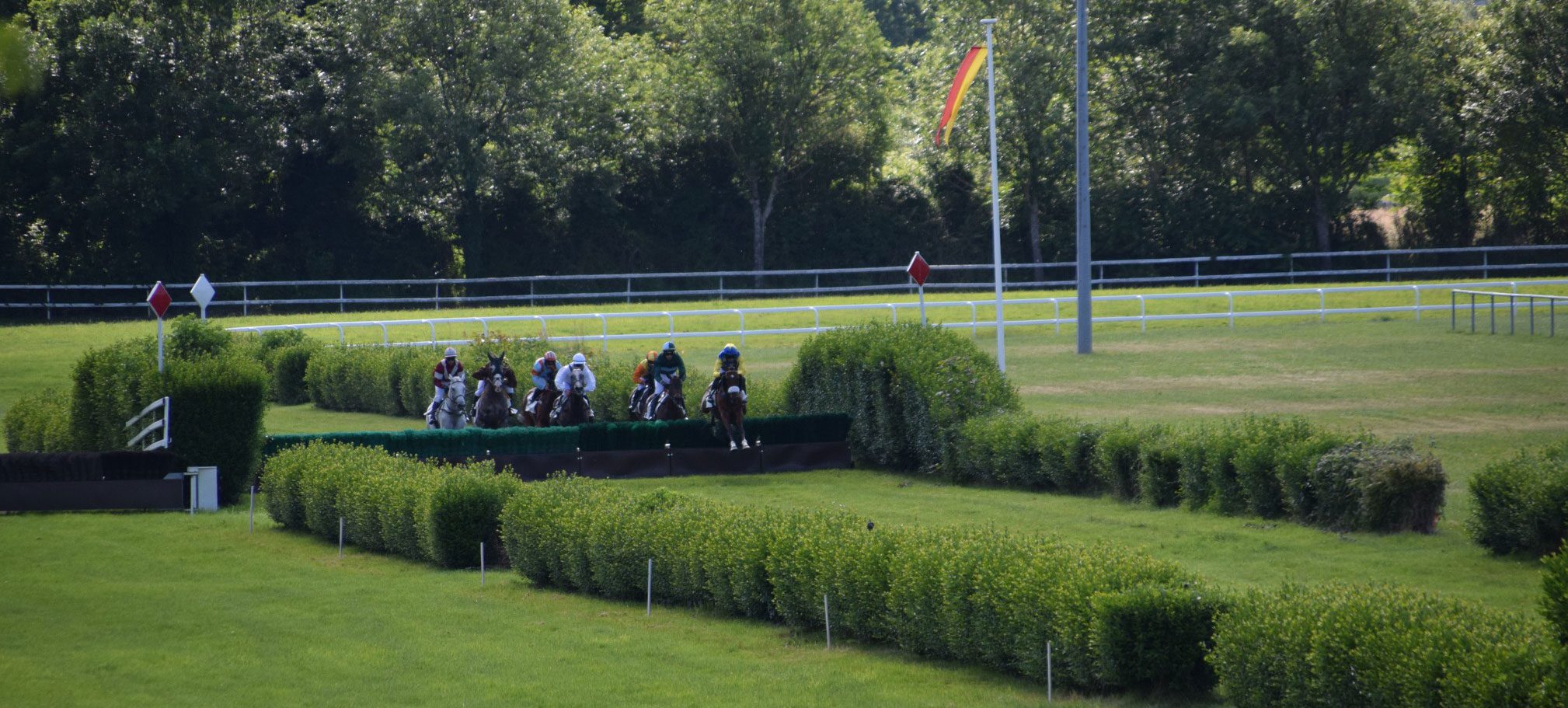 Hippodrome d'Orléans, courses steeples